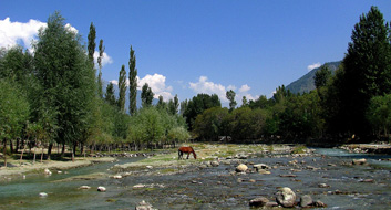 Pahalgam near The Lalit Grand Palace in Srinagar, India